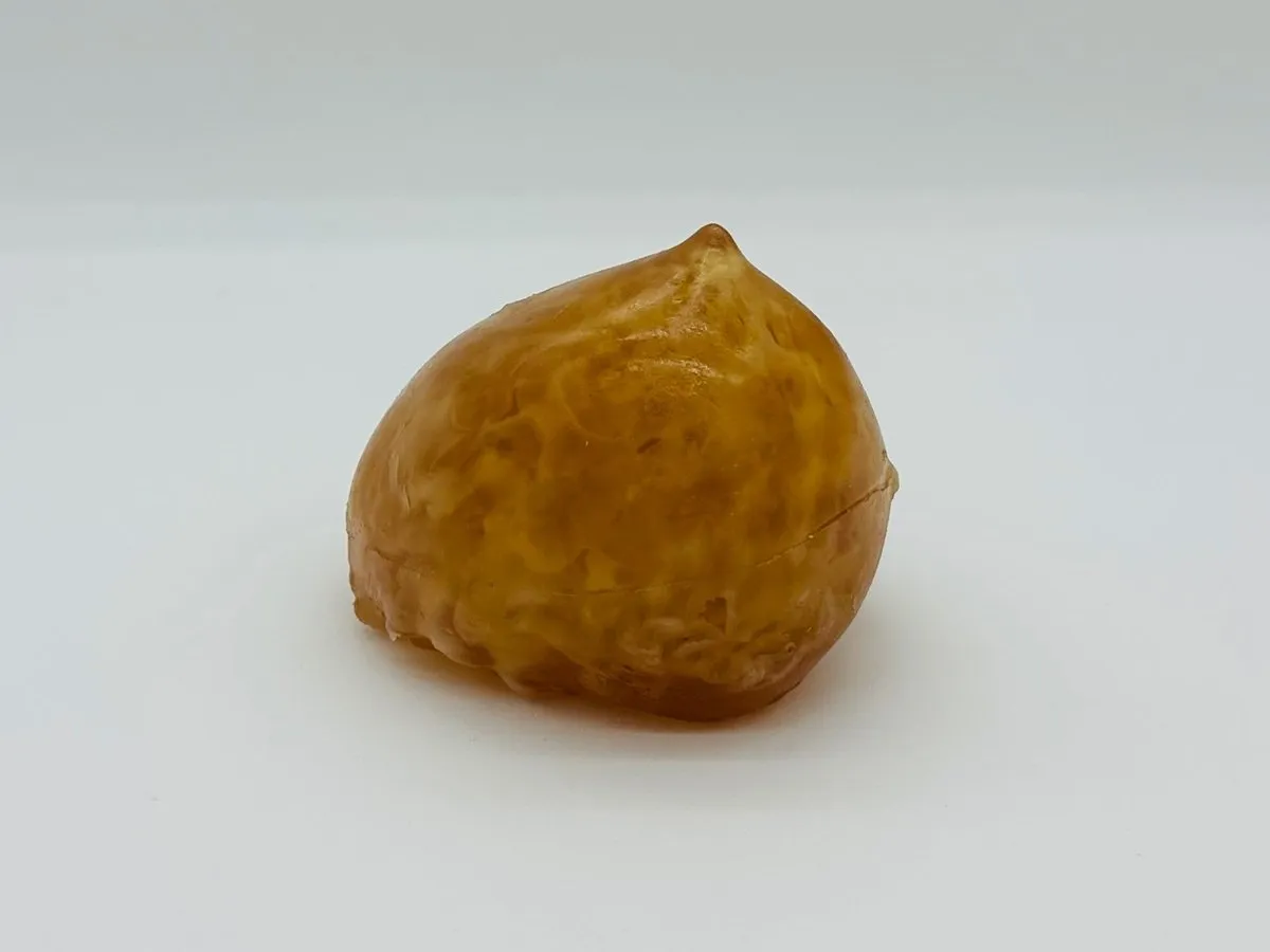Adult Breast (Simple) for X-Ray, CT Scan and MRI