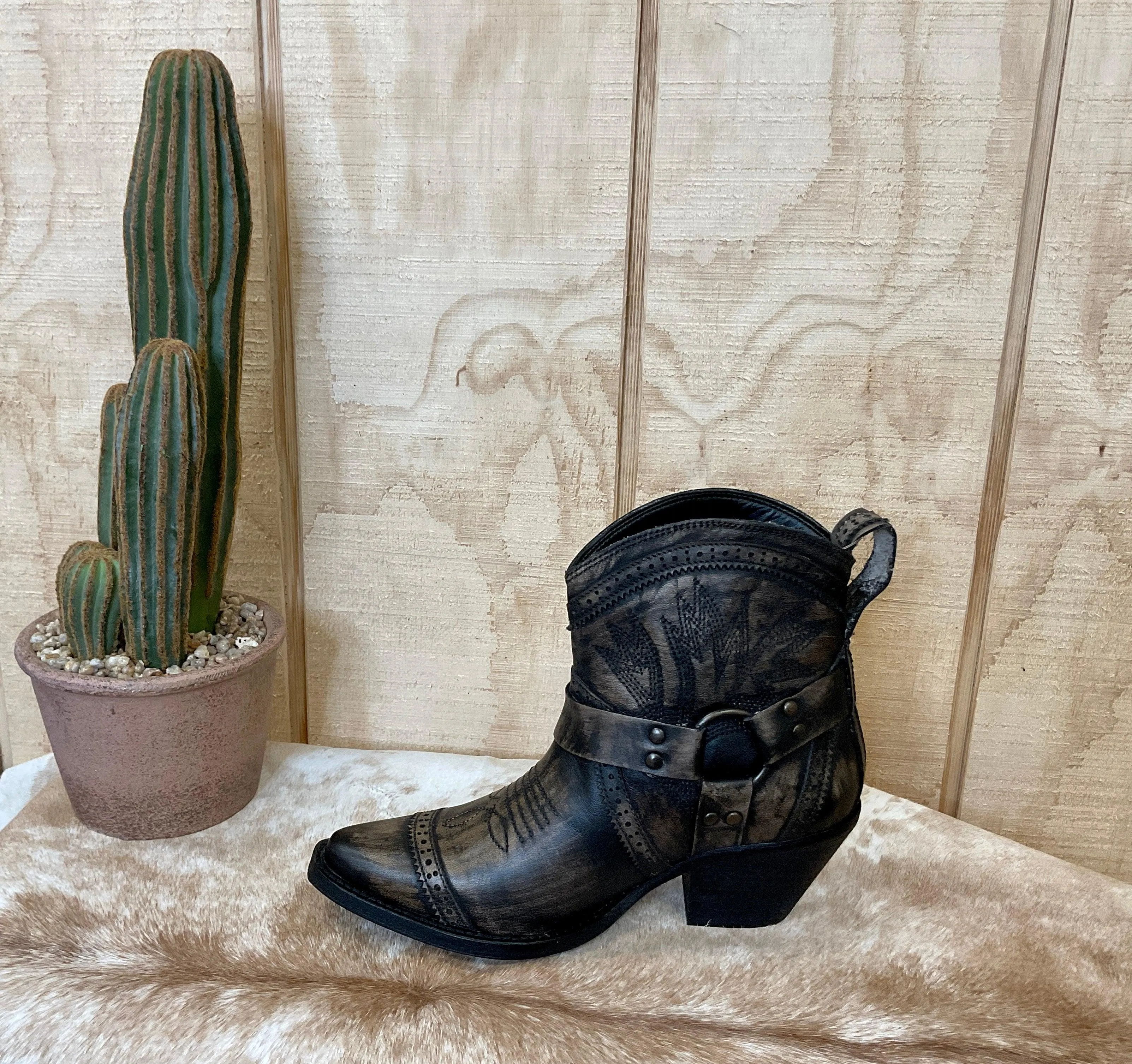 Dingo Women's Distressed Black Gummy Bear Ankle Boot DI747B