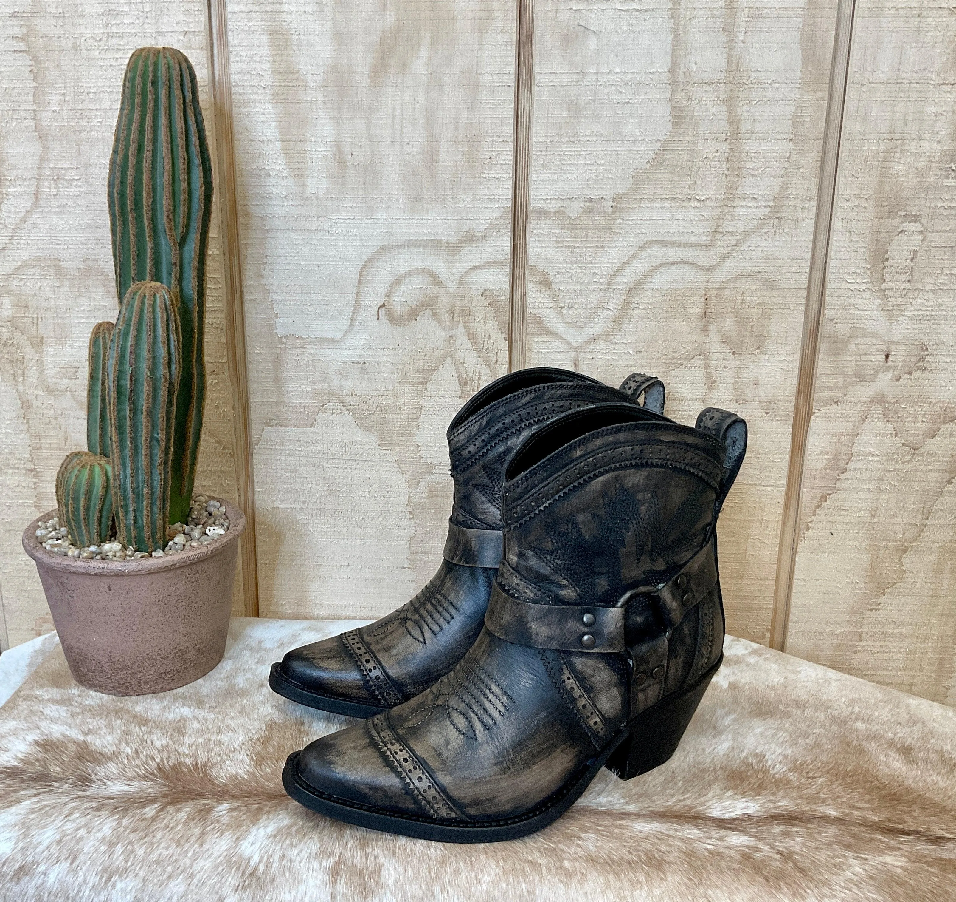 Dingo Women's Distressed Black Gummy Bear Ankle Boot DI747B