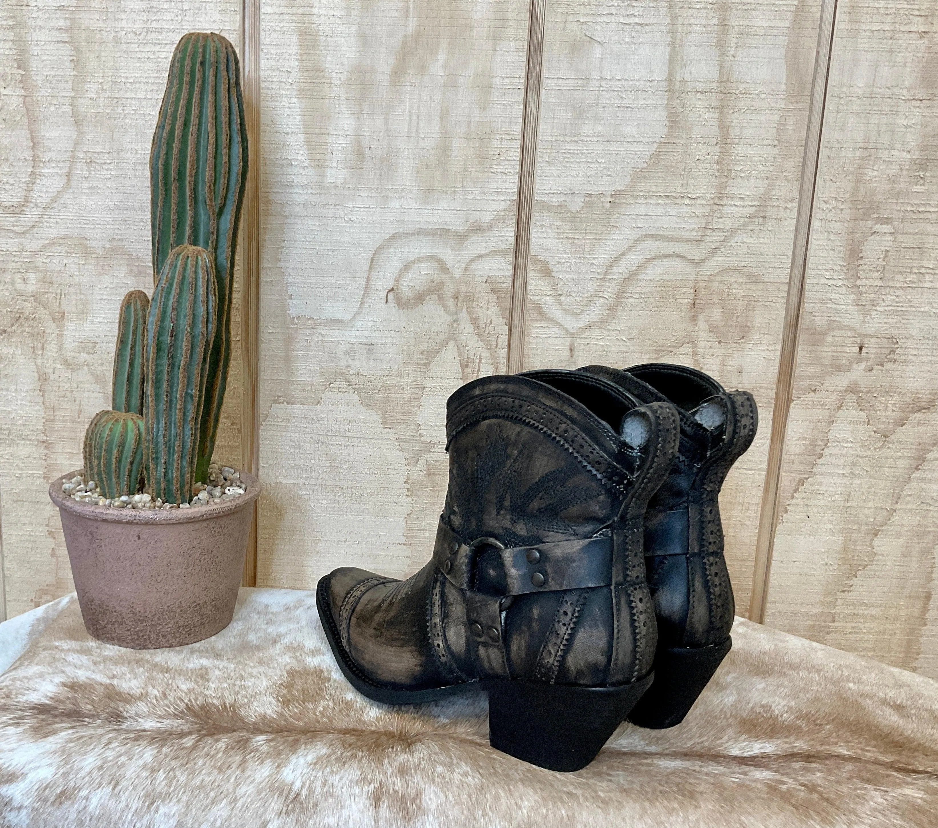 Dingo Women's Distressed Black Gummy Bear Ankle Boot DI747B