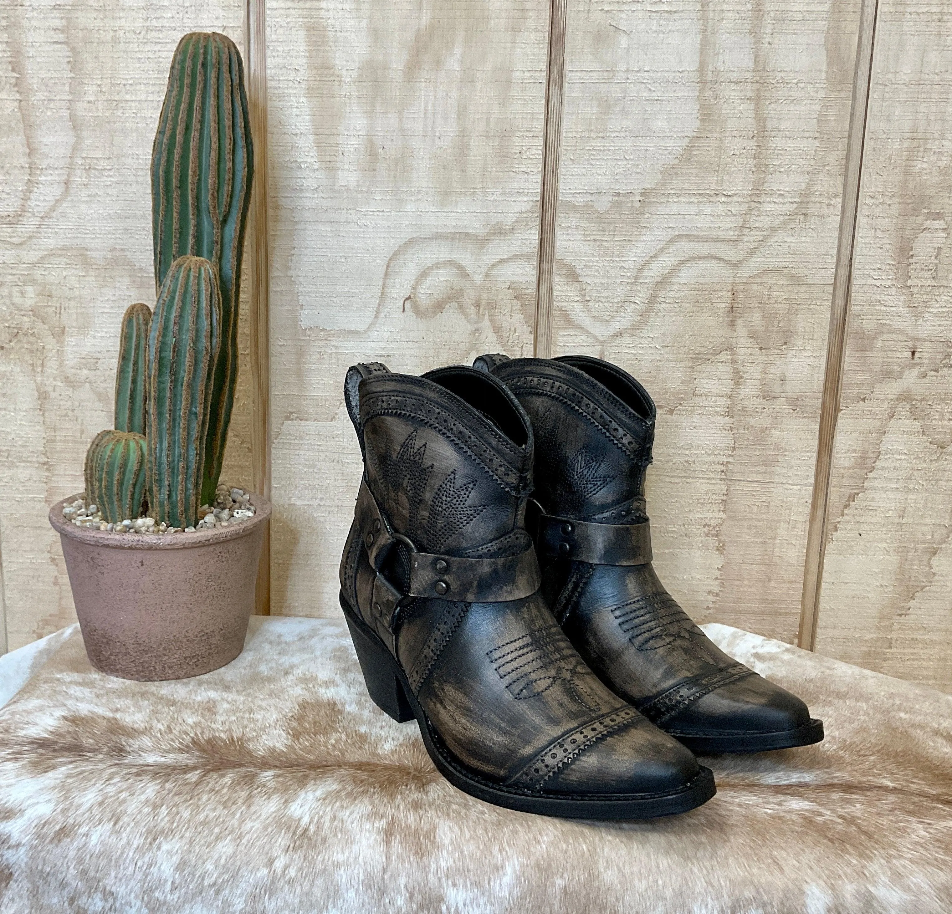 Dingo Women's Distressed Black Gummy Bear Ankle Boot DI747B