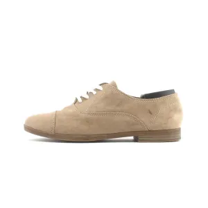 DVS .