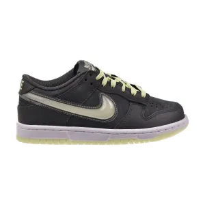 Nike Dunk Low (GS) Big Kids' Shoes Iron Grey/Lime Ice hq3569-068