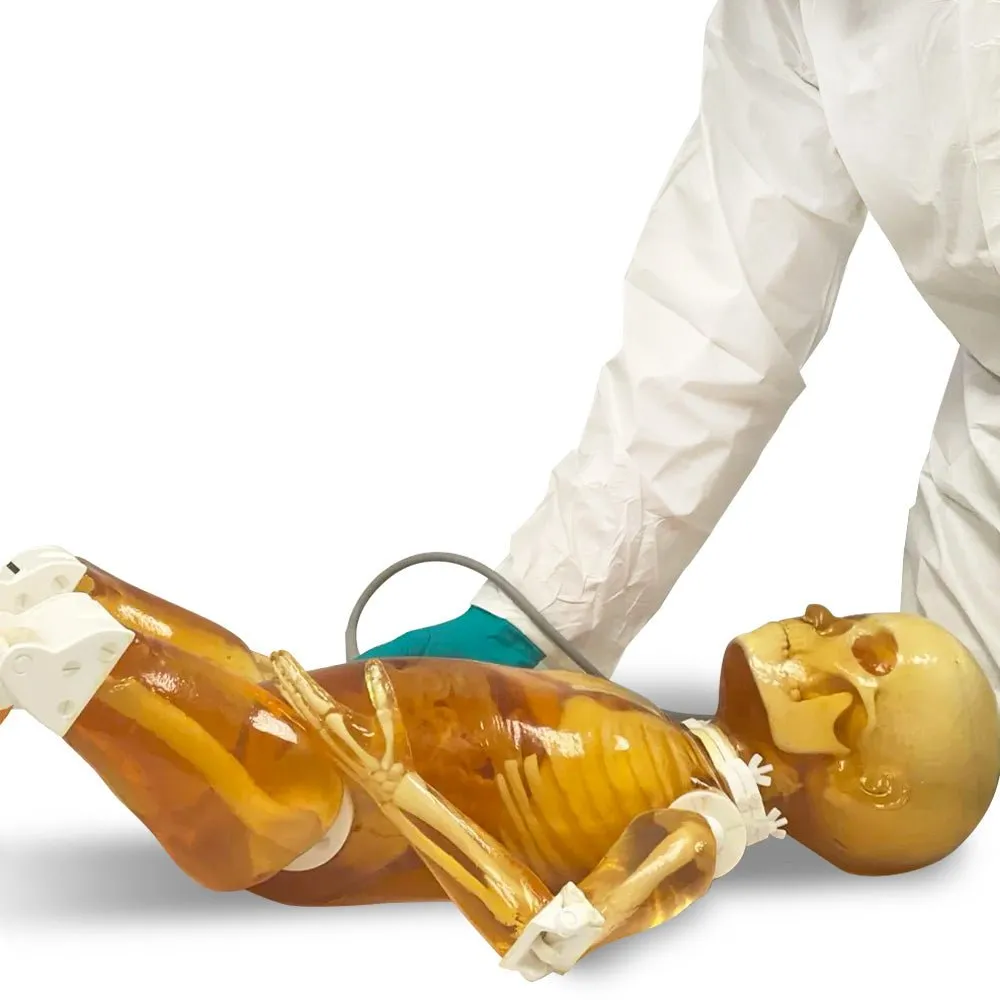 Pediatric Full Human Body Phantom for X-Ray CT & MRI Training